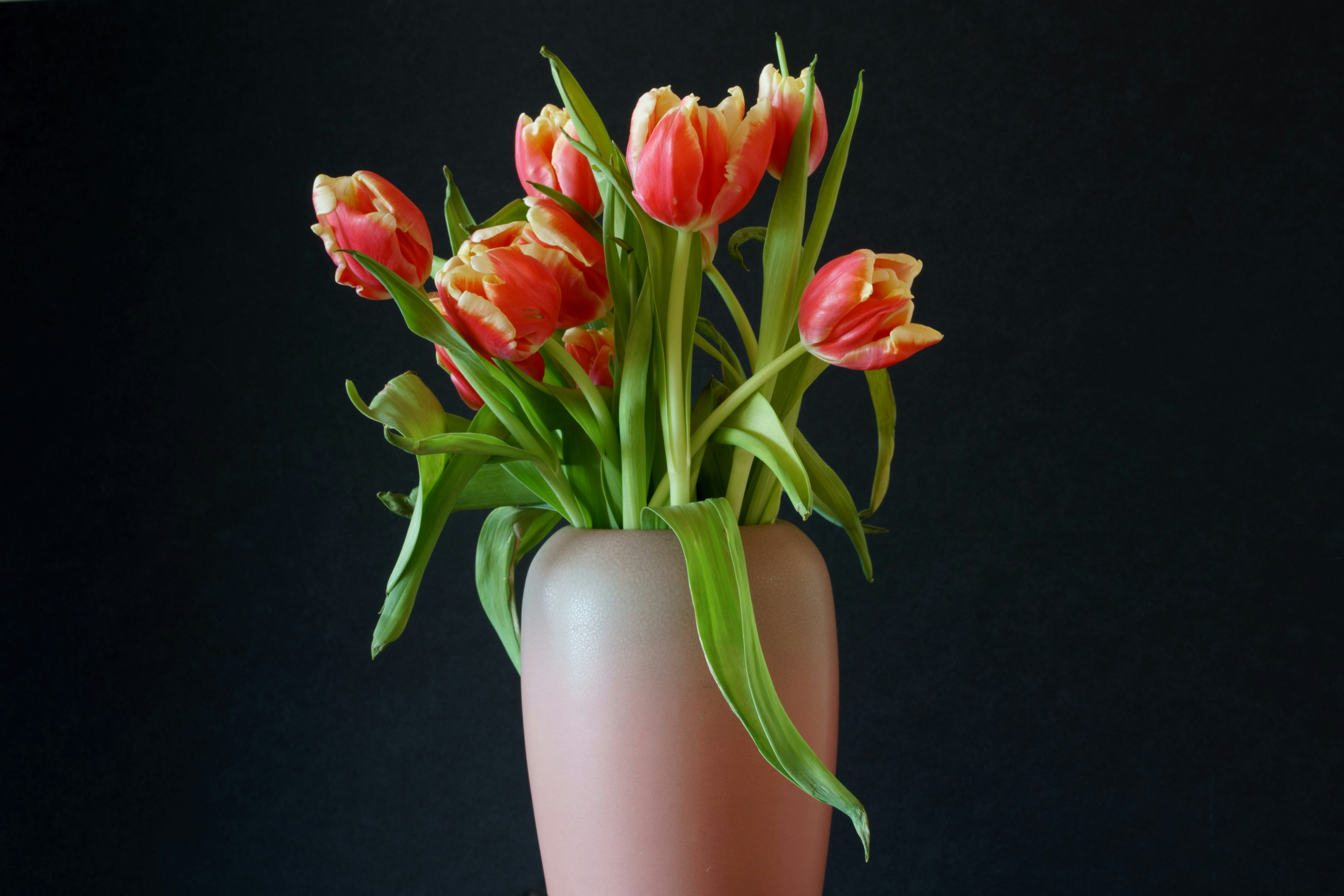 Velvet Tulip Basket