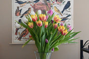 Velvet Tulip Basket