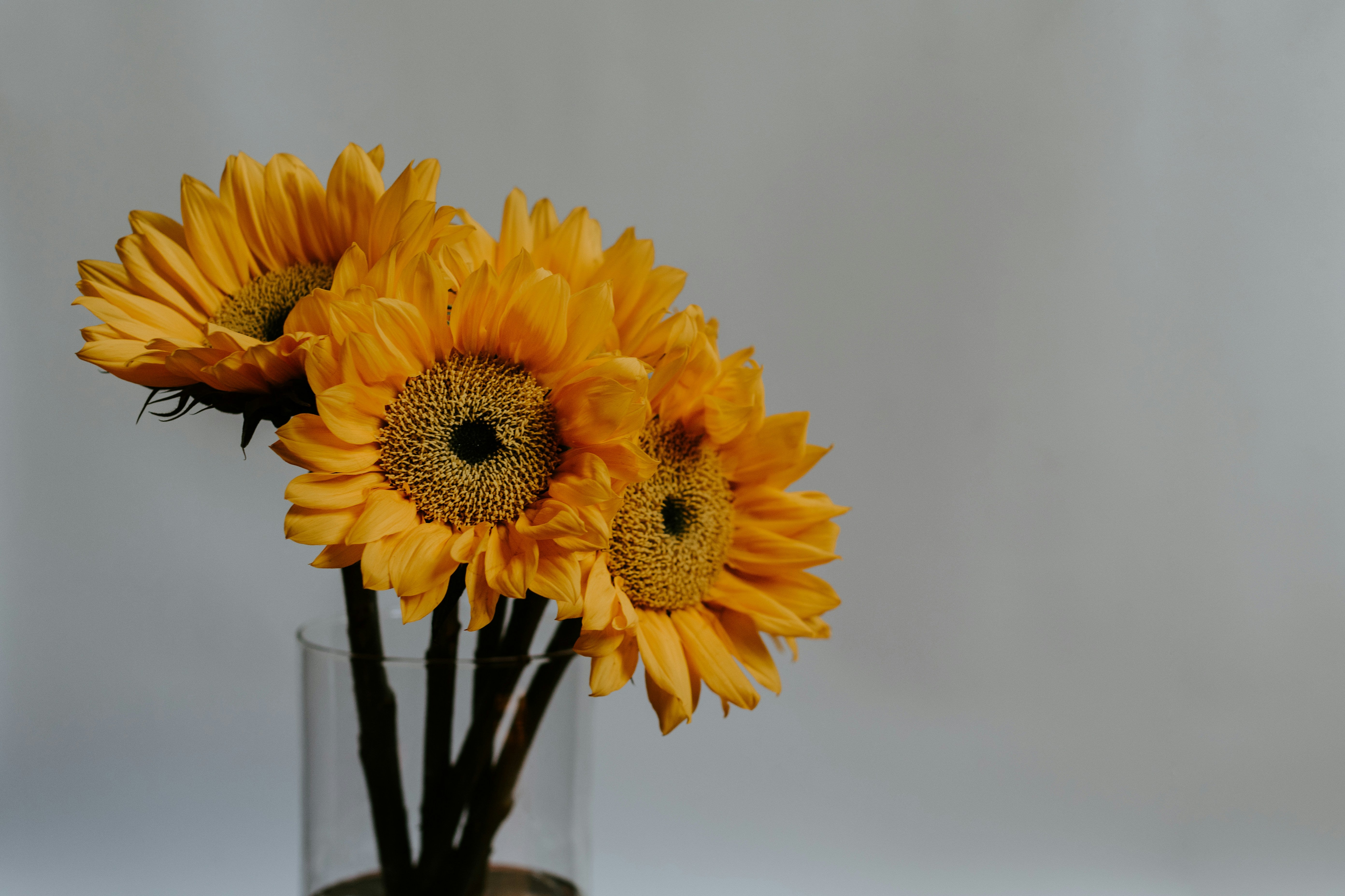 Golden Sunflower Bouquet