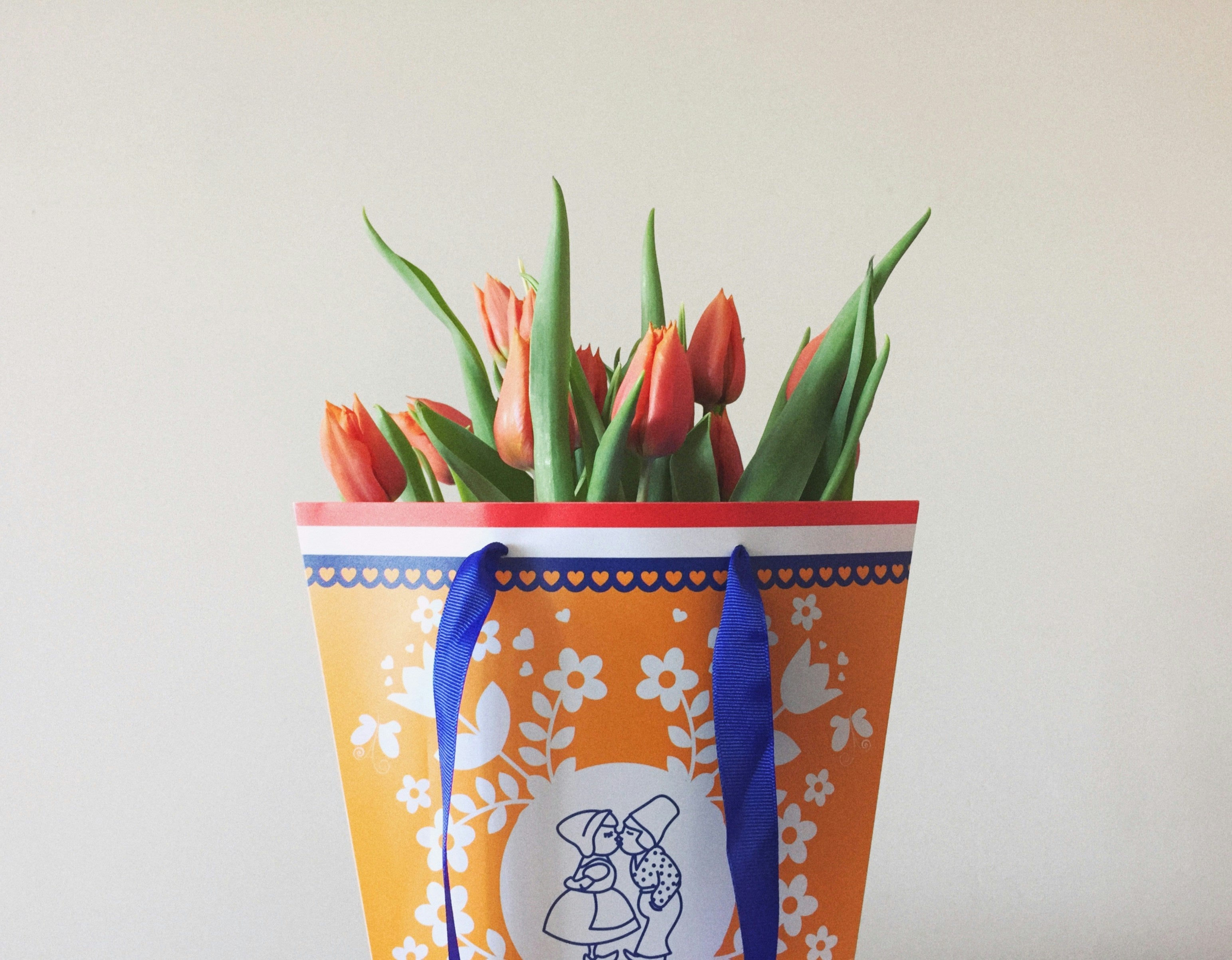 Velvet Tulip Basket